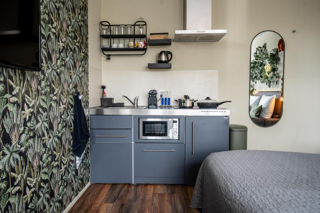 The Lion King - 6 Person Linked Apartment With Roof Terrace Groninga Exterior foto